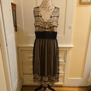 Jessica Howard satiny mesh black and gold dress Sz 16